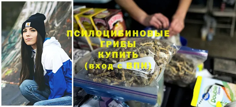 Псилоцибиновые грибы MAGIC MUSHROOMS  Кушва 